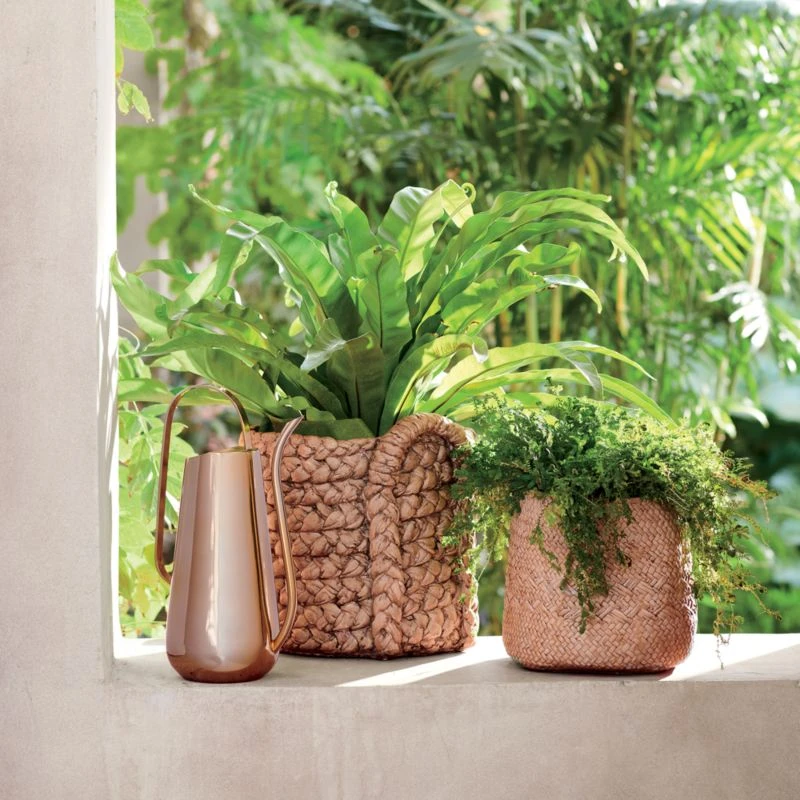 Brass-Plated Watering Can 2 Brass-Plated Watering Can - Image 2