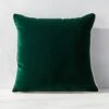 Bronte Green Velvet Outdoor Throw Pillow 20''
