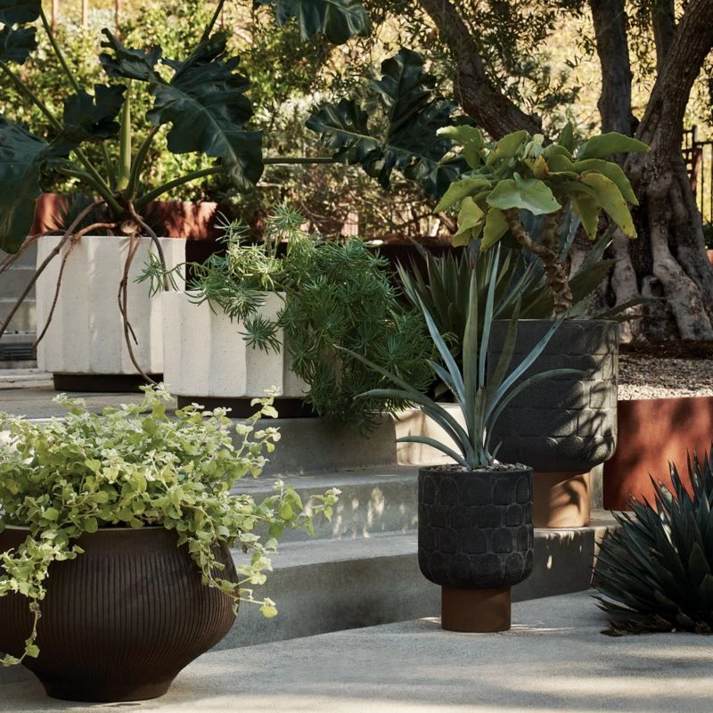 Scallop White Clay Indoor/Outdoor Planter Medium 6 Scallop White Clay Indoor/Outdoor Planter Medium - Image 6