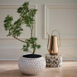 Brass-Plated Watering Can 8 Brass-Plated Watering Can -Furniture Sales Store HayesPlanterNV20 1x1