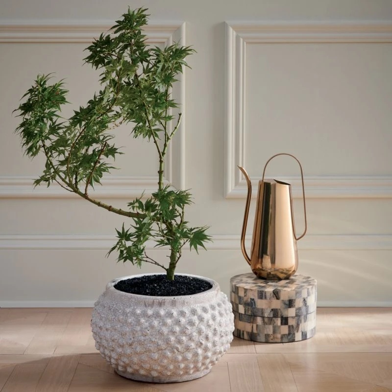 Brass-Plated Watering Can 3 Brass-Plated Watering Can - Image 3