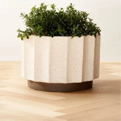 Scallop White Clay Indoor/Outdoor Planter Medium 9 Scallop White Clay Indoor/Outdoor Planter Medium -Furniture Sales Store Scallop13p5inPlanterSmAVSHS22
