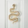 Polished Brass Snake Door Knocker